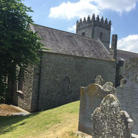 Carey'S Bar & Farmhouse Kilkenny Border Oldleighlin Exteriér fotografie