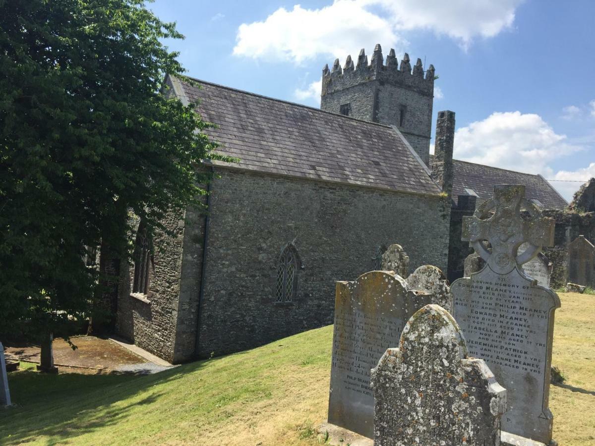 Carey'S Bar & Farmhouse Kilkenny Border Oldleighlin Exteriér fotografie