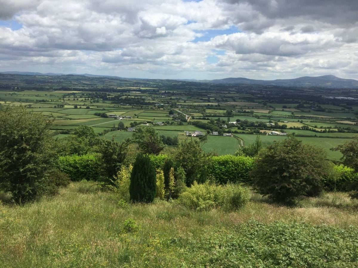Carey'S Bar & Farmhouse Kilkenny Border Oldleighlin Exteriér fotografie