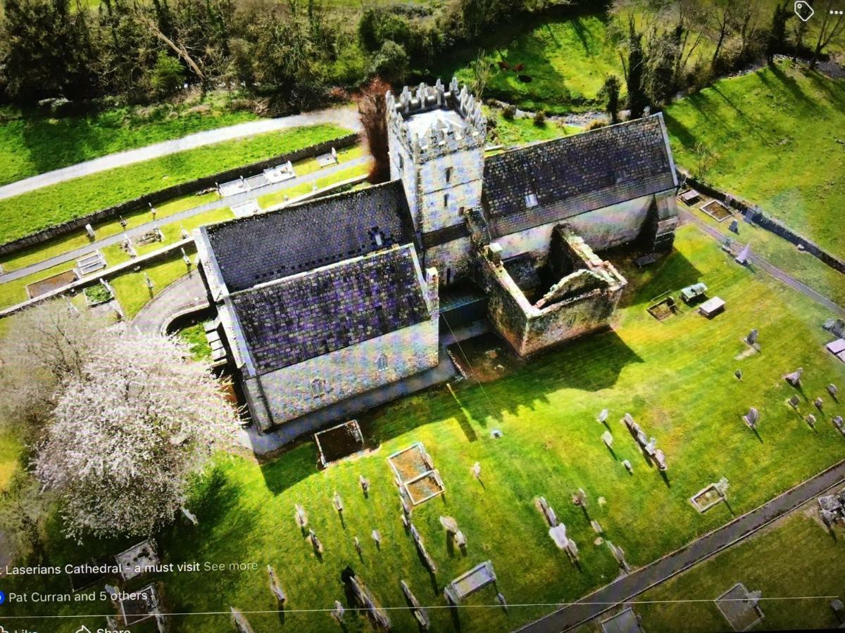 Carey'S Bar & Farmhouse Kilkenny Border Oldleighlin Exteriér fotografie